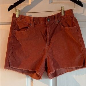 aerie Rust-Tone Frayed Hem Denim Shorts